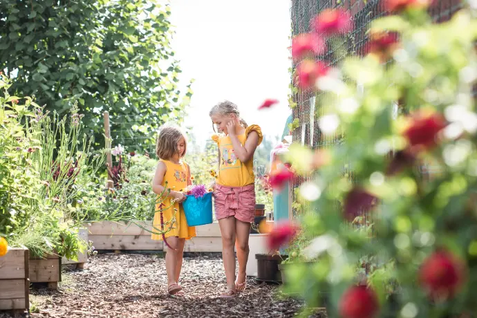 bloemen, boeketten, pluktuin, gifvrij
