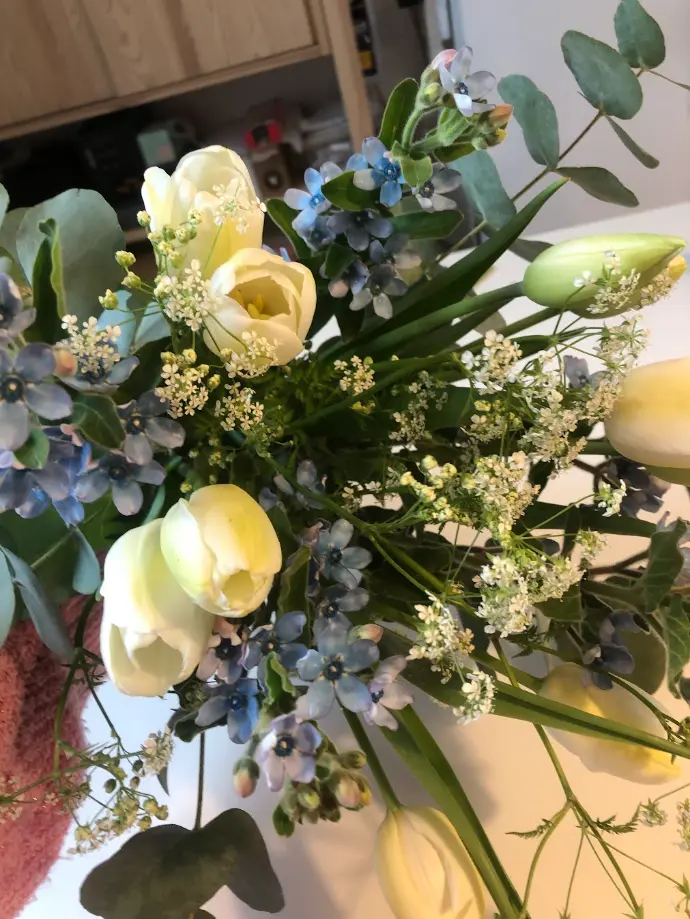 boeketten, feest, bloemen, gifvrij
