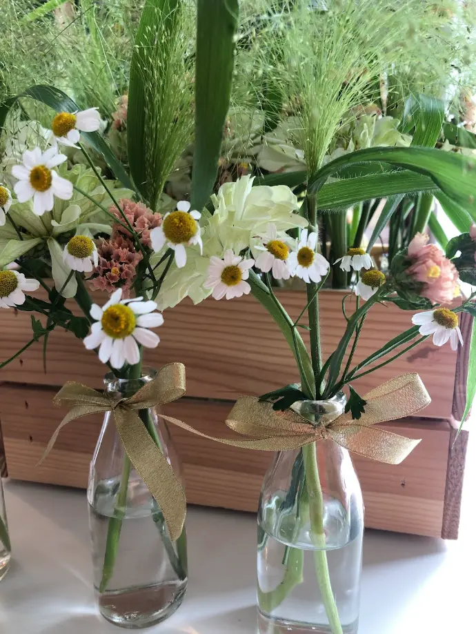 boeketten, feest, bloemen, gifvrij