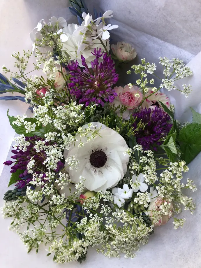 boeketten, feest, bloemen, gifvrij