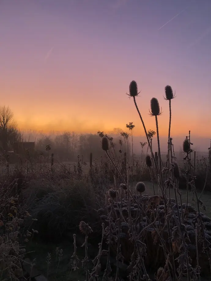 tuinadvies, beplantingsadvies