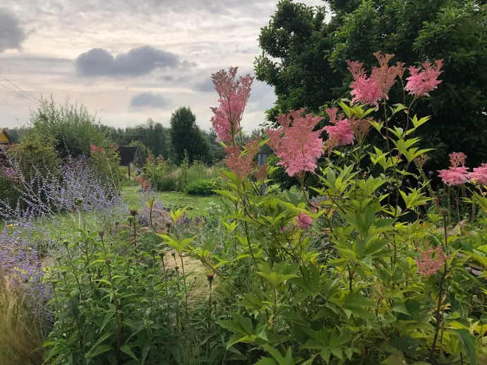 tuinadvies, beplantingsadvies