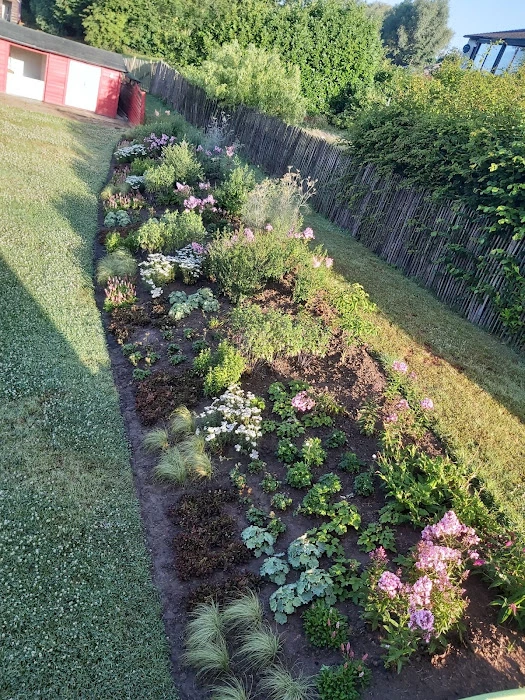 tuinadvies, beplantingsadvies