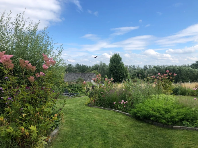 tuinadvies, beplantingsadvies