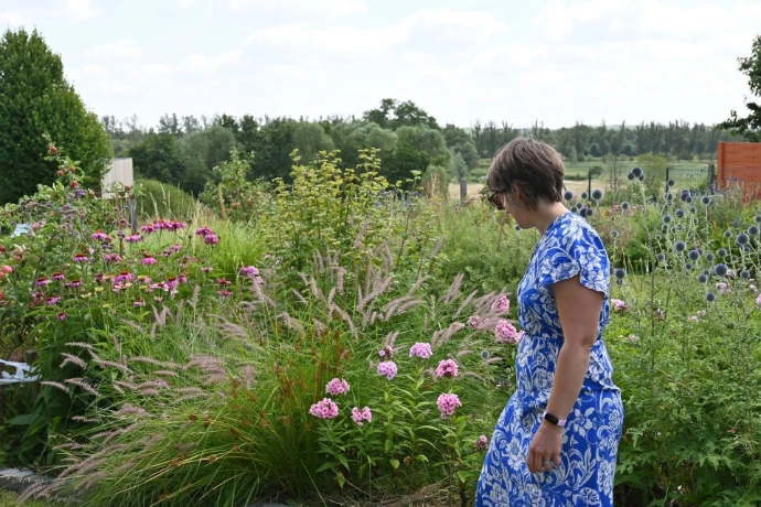 beplanting