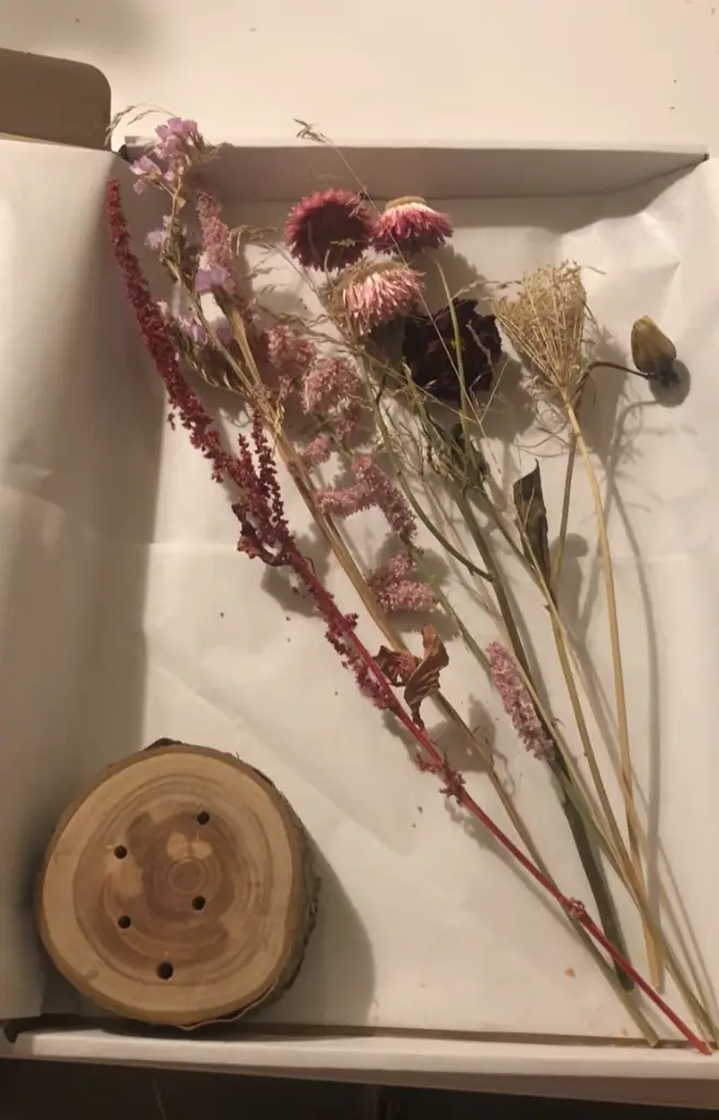 Schermafbeelding 2024-12-04 195815.webp