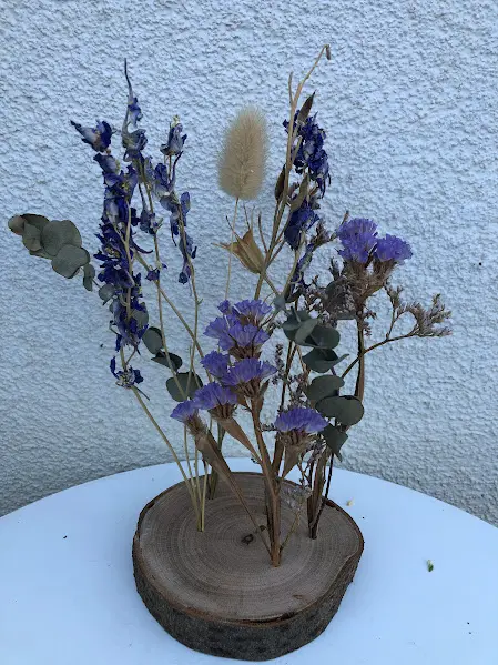 boomschijfje blauwtinten.webp