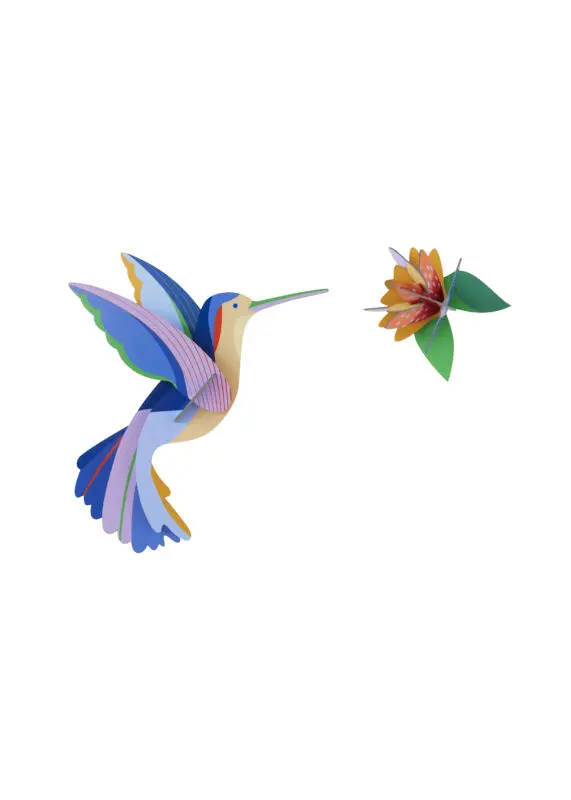 Studio Roof: hummingbird