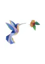 Studio Roof: hummingbird