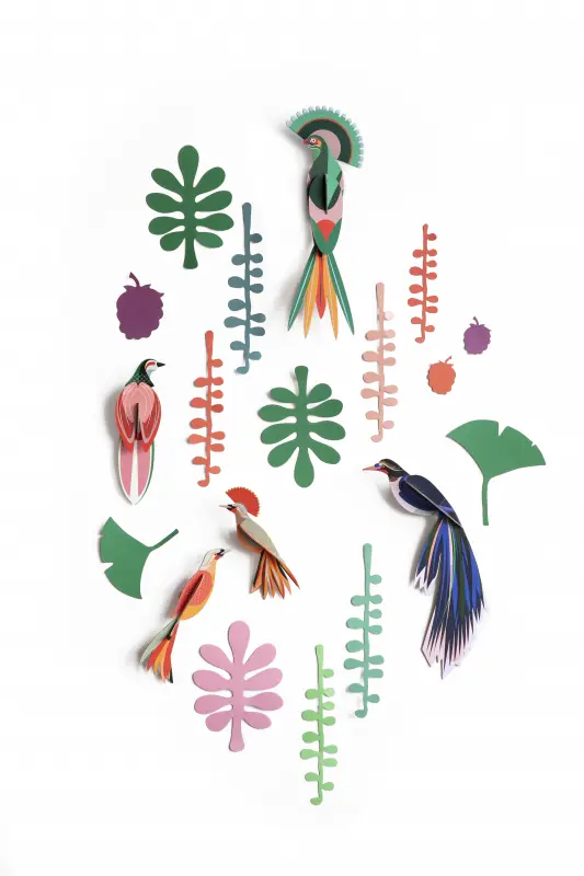 Studio Roof: bird observer