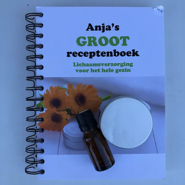 Boek: groot receptenboek