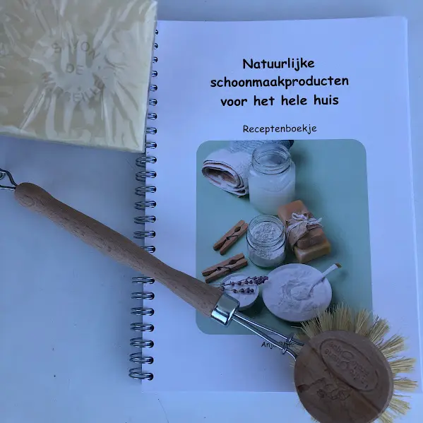 Boek: schoonmaakrecepten