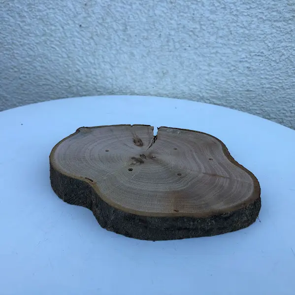 Houtwerk: boomschijfje